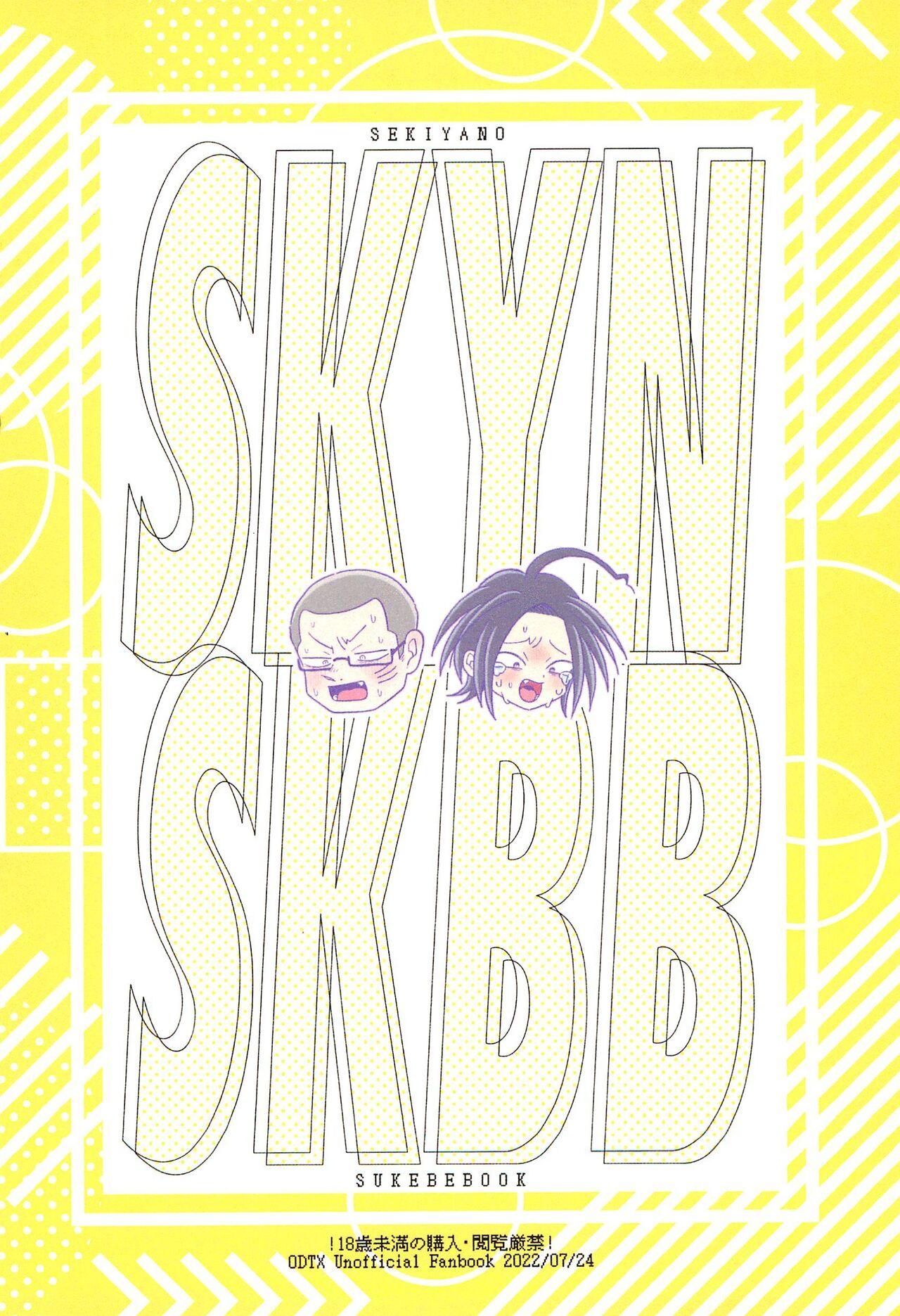 SKYNSKBB 35