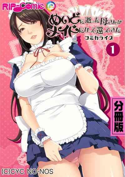 Bijo to Injuu Vol. 11"FetiColle! Series" 2