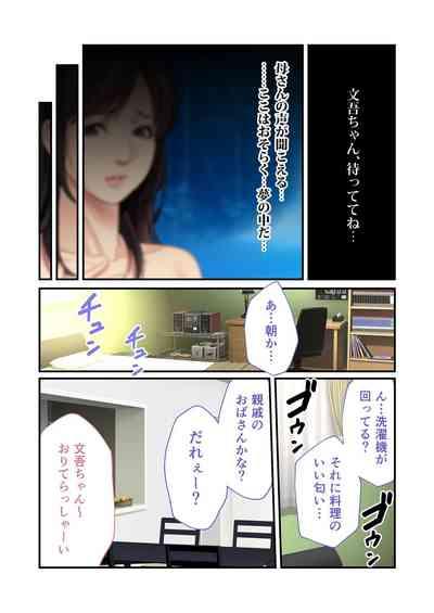 Bijo to Injuu Vol. 11"FetiColle! Series" 5