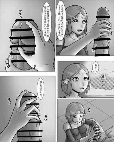 Zeruda no Densetsu: Purinsesu to Sugosu Yoru 10