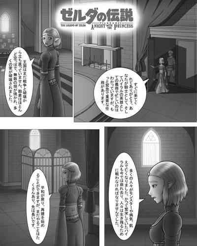 Zeruda no Densetsu: Purinsesu to Sugosu Yoru 3
