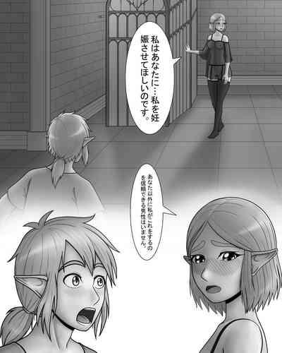Zeruda no Densetsu: Purinsesu to Sugosu Yoru 6