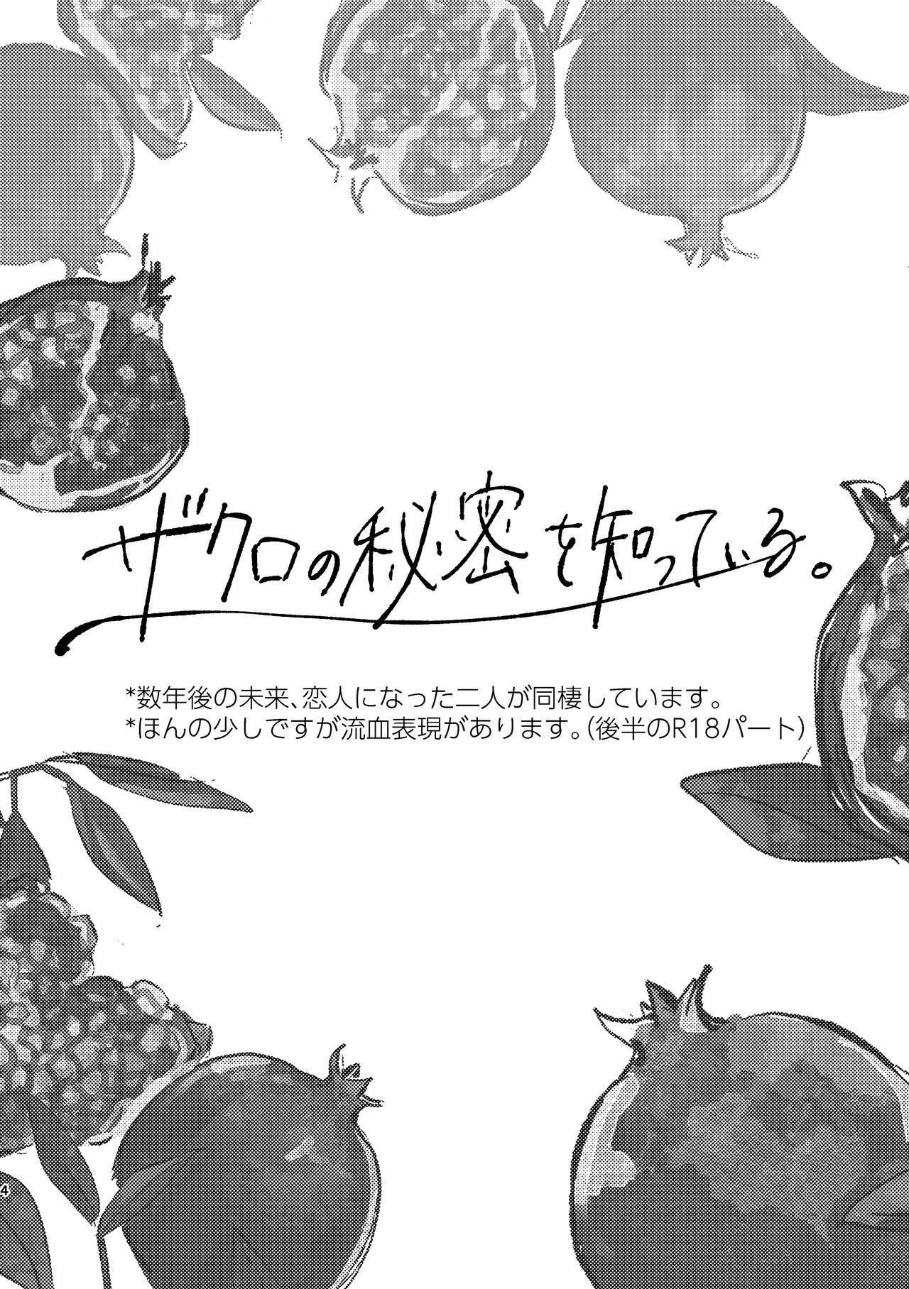 Zakuro no himitsu o shitteiru. - Page 3