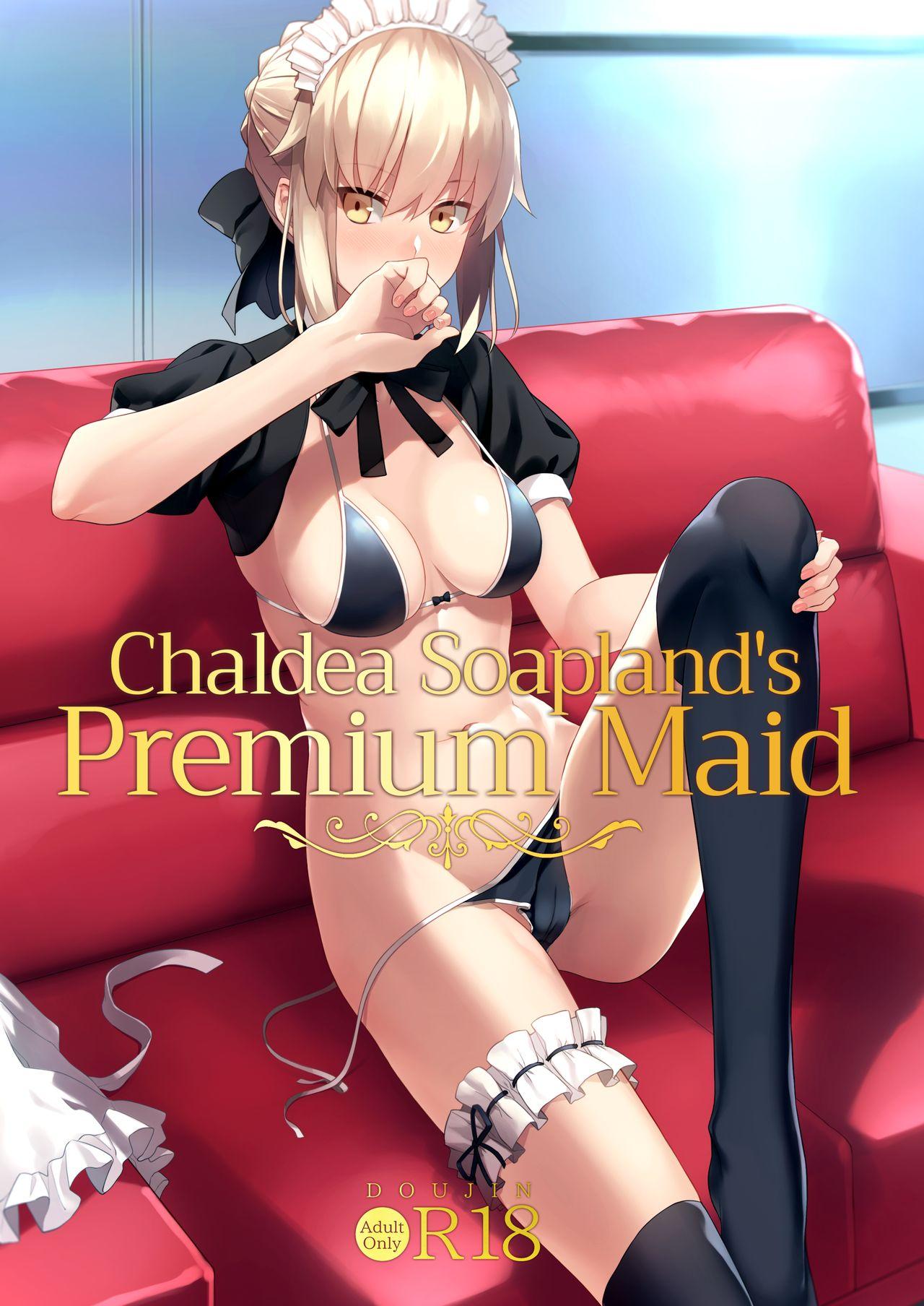 Sfm Chaldea Soap SSS-kyuu Gohoushi Maid | Chaldea Soapland's Premium Maid - Fate grand order Romantic - Picture 1