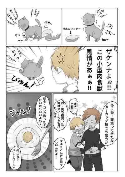 ごろた - 自家発電少年 10