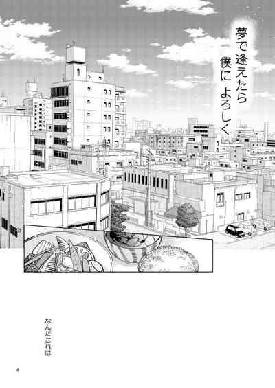 Yumedeaetara boku ni yoroshiku 4