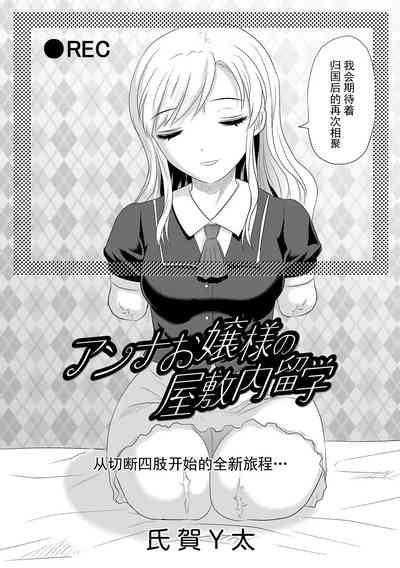 Anna Ojou-sama no Yashikinai Ryuugaku 2