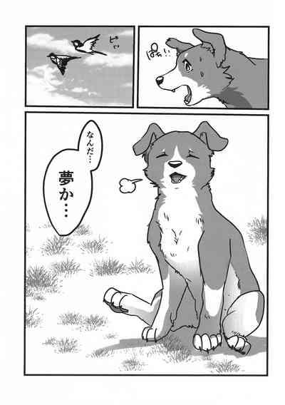 DOG.IN.CAGE The best in corn 10