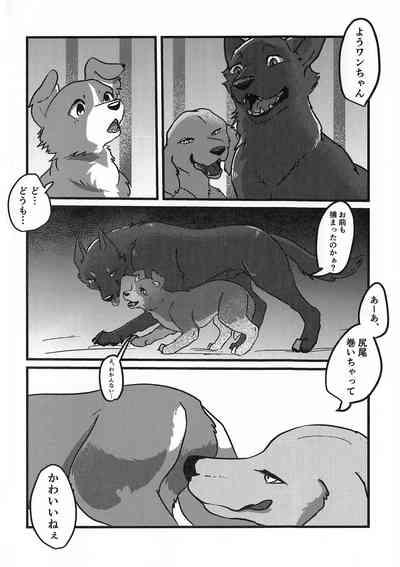 DOG.IN.CAGE The best in corn 3