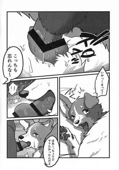 DOG.IN.CAGE The best in corn 5