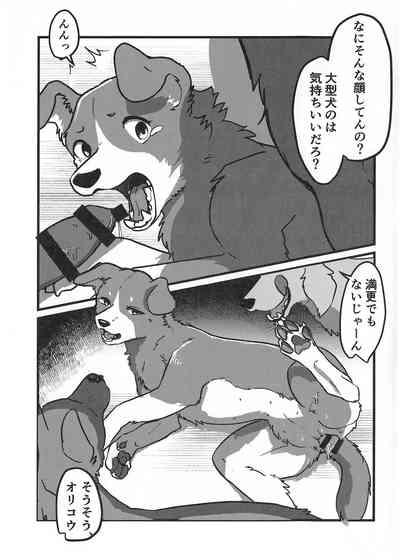 DOG.IN.CAGE The best in corn 6