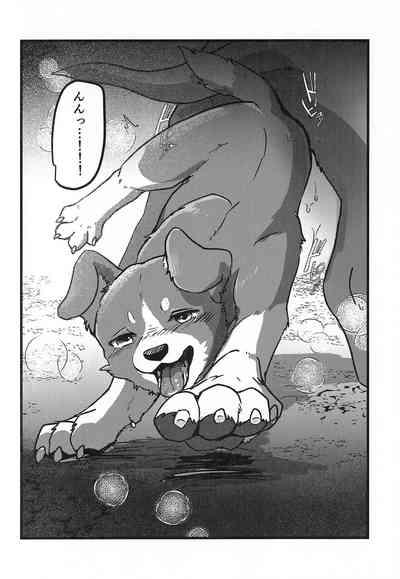 DOG.IN.CAGE The best in corn 9