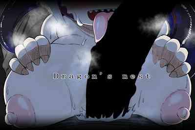 Dragon's nest 1
