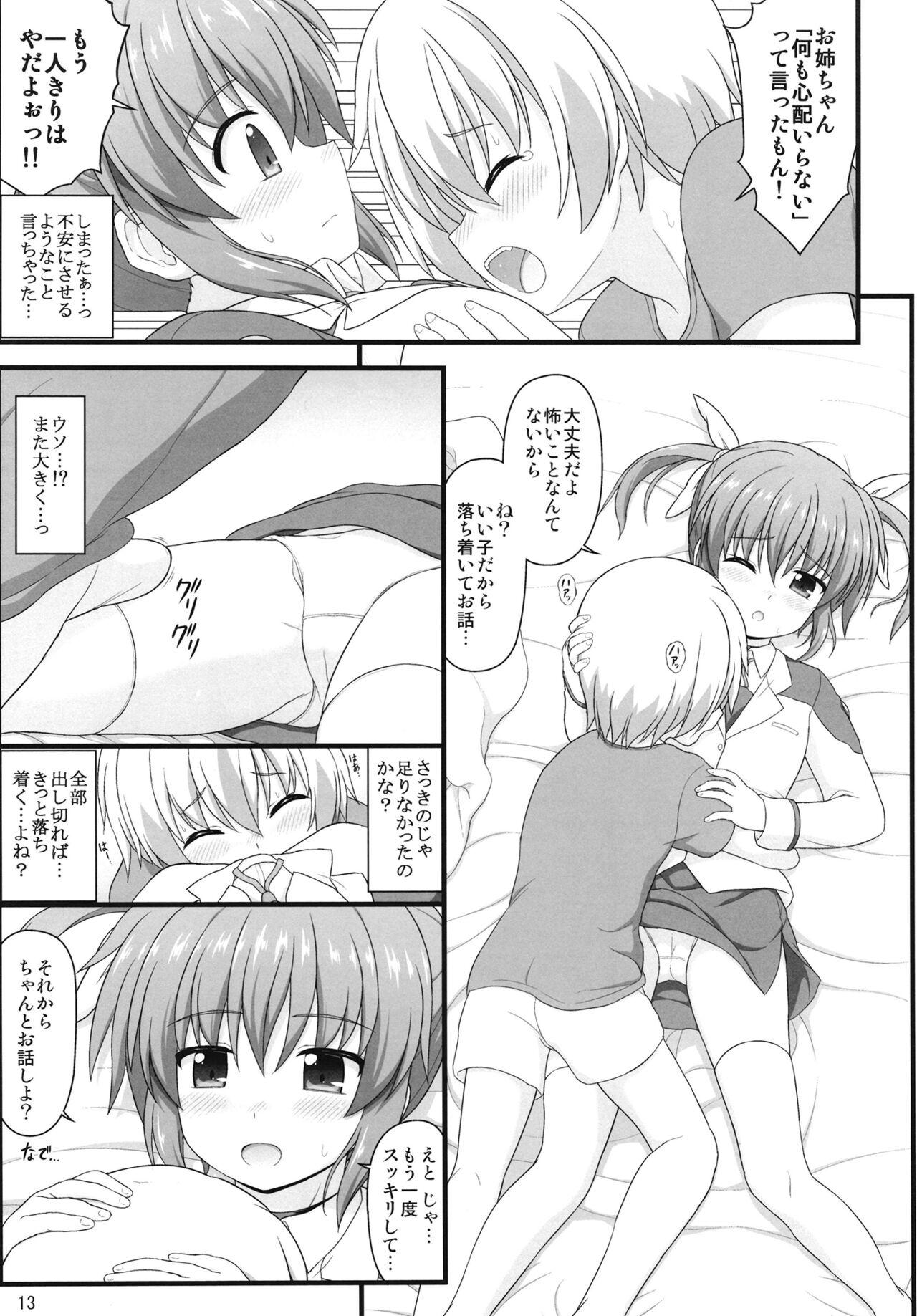 Shin Nanoha Refle 11