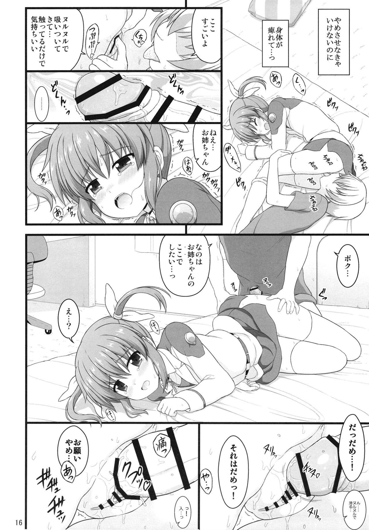 Shin Nanoha Refle 14