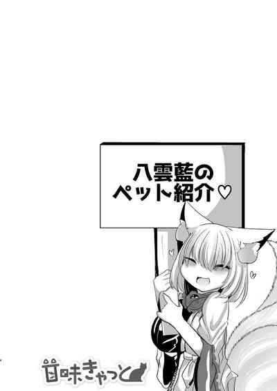 八雲藍が性処理ペットと戯れる本 4