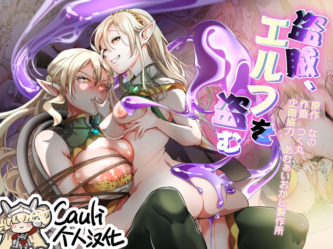 Touzoku, Elf o Nusumu 1