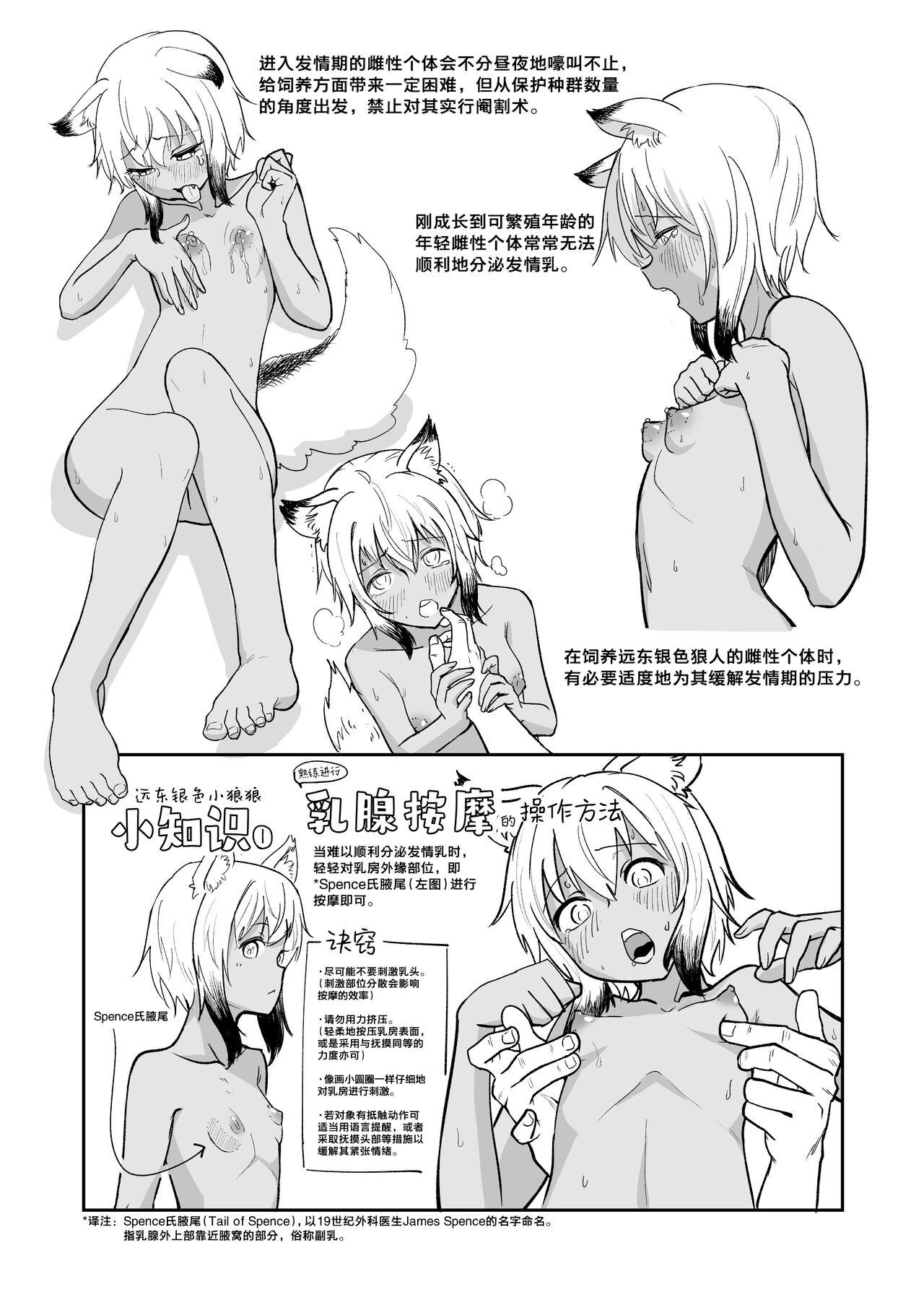 Zukai Kyokutou Giniro Jinrou-chan no Kaikata Handbook Hatsujouki no Osewa Hen | 图解 远东银色小狼狼的饲养方法 操作手册 发情期的护理篇 - Page 5