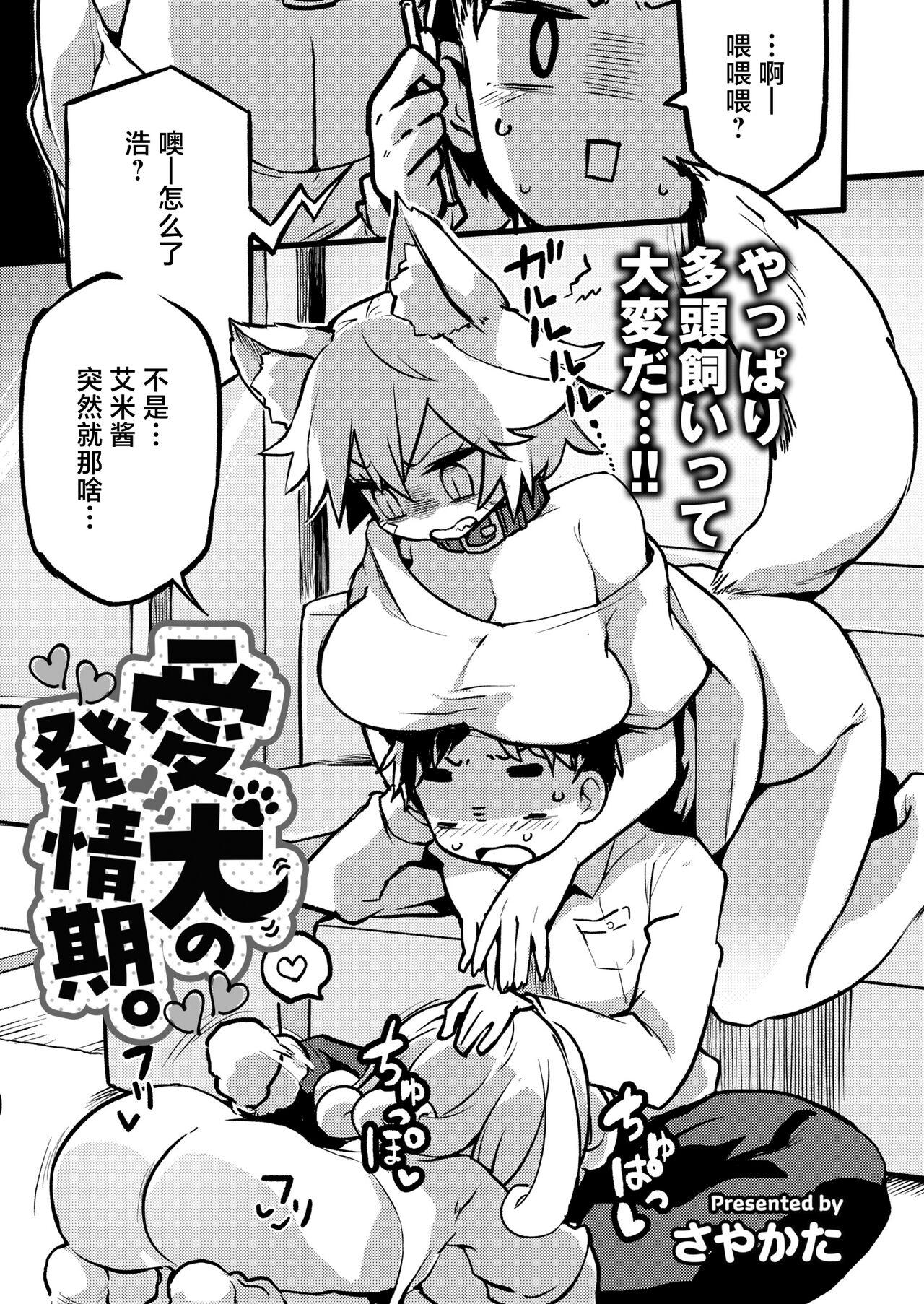 Aiken no Hatsujyouuki - Page 1