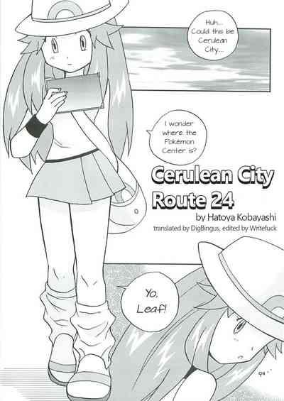 Cerulean City Route 24 2