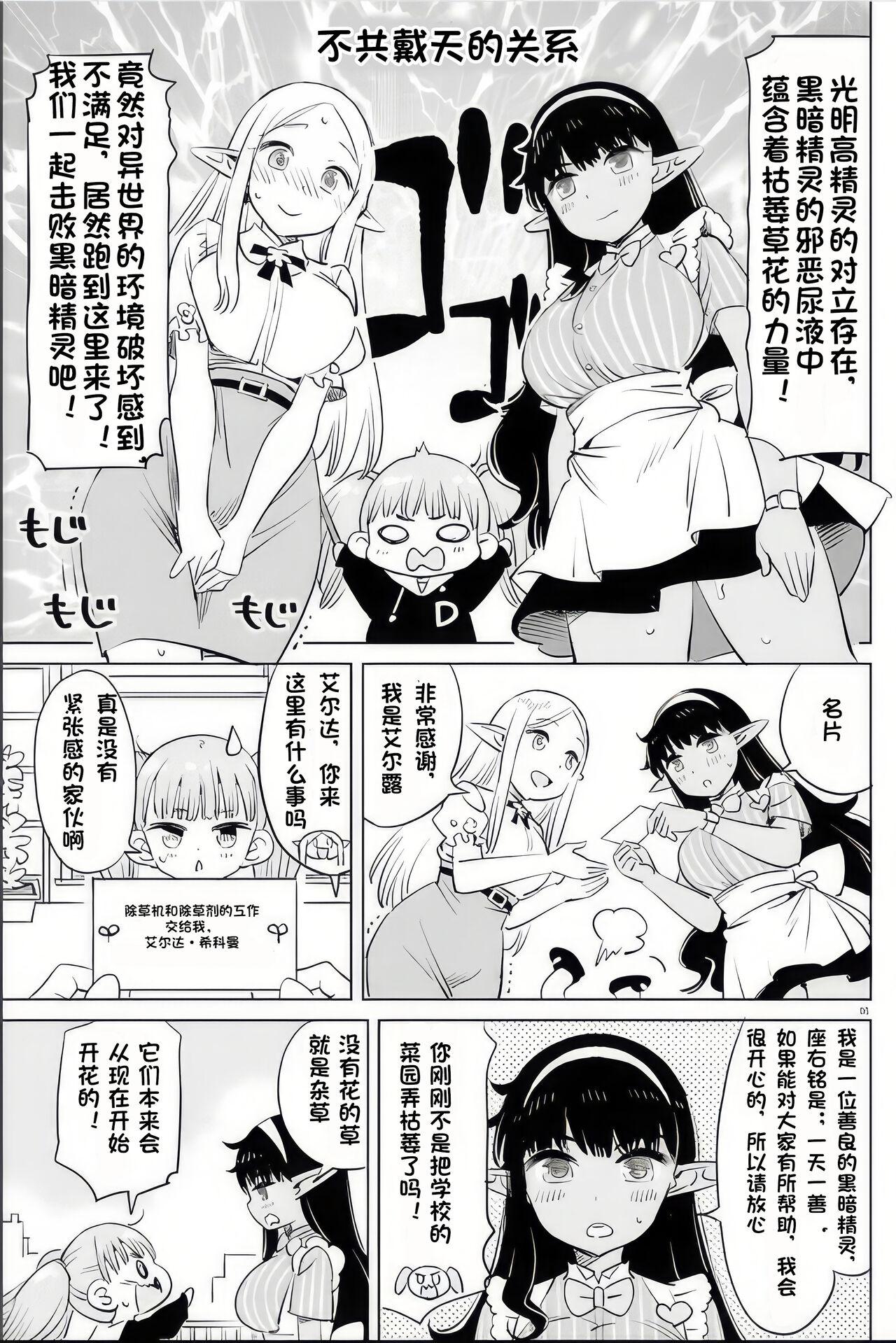 Where is the elf teacher's toilet? 107
