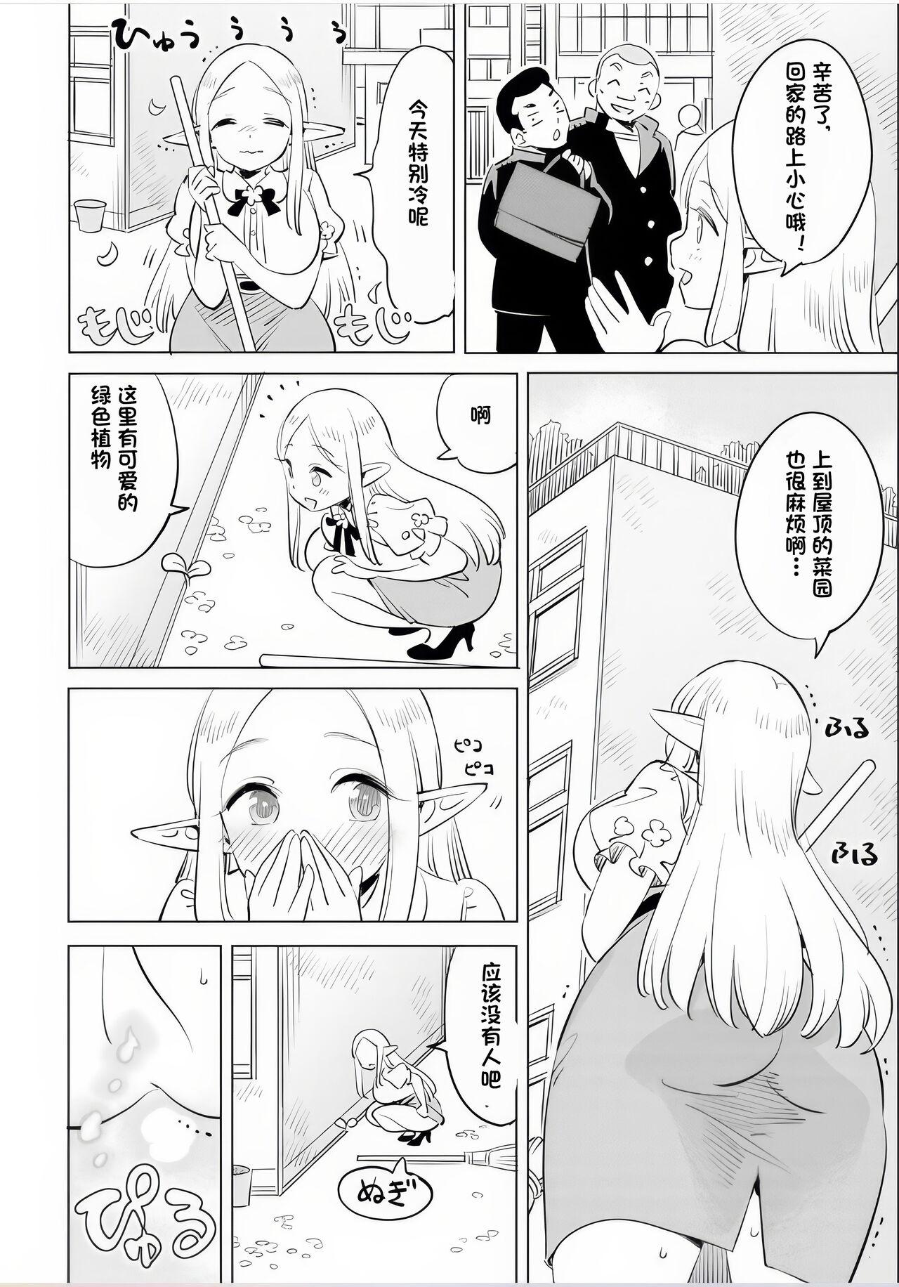 Where is the elf teacher's toilet? 96
