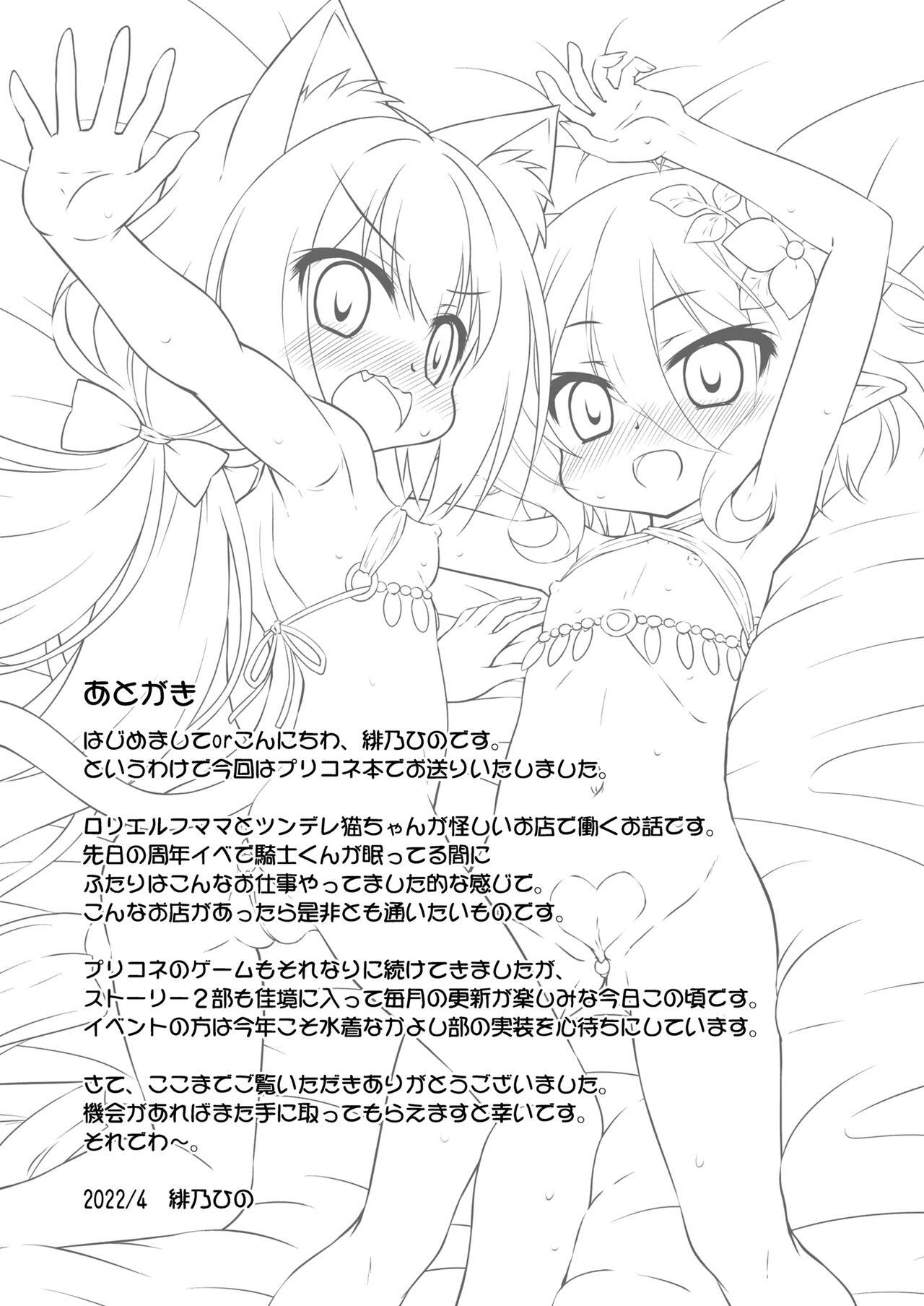 [Saihate-Kukan (Hino Hino)] Kokkoro-chan and Kyaru-chan's Prostitution Diary (Princess Connect! Re:Dive) [English] 23