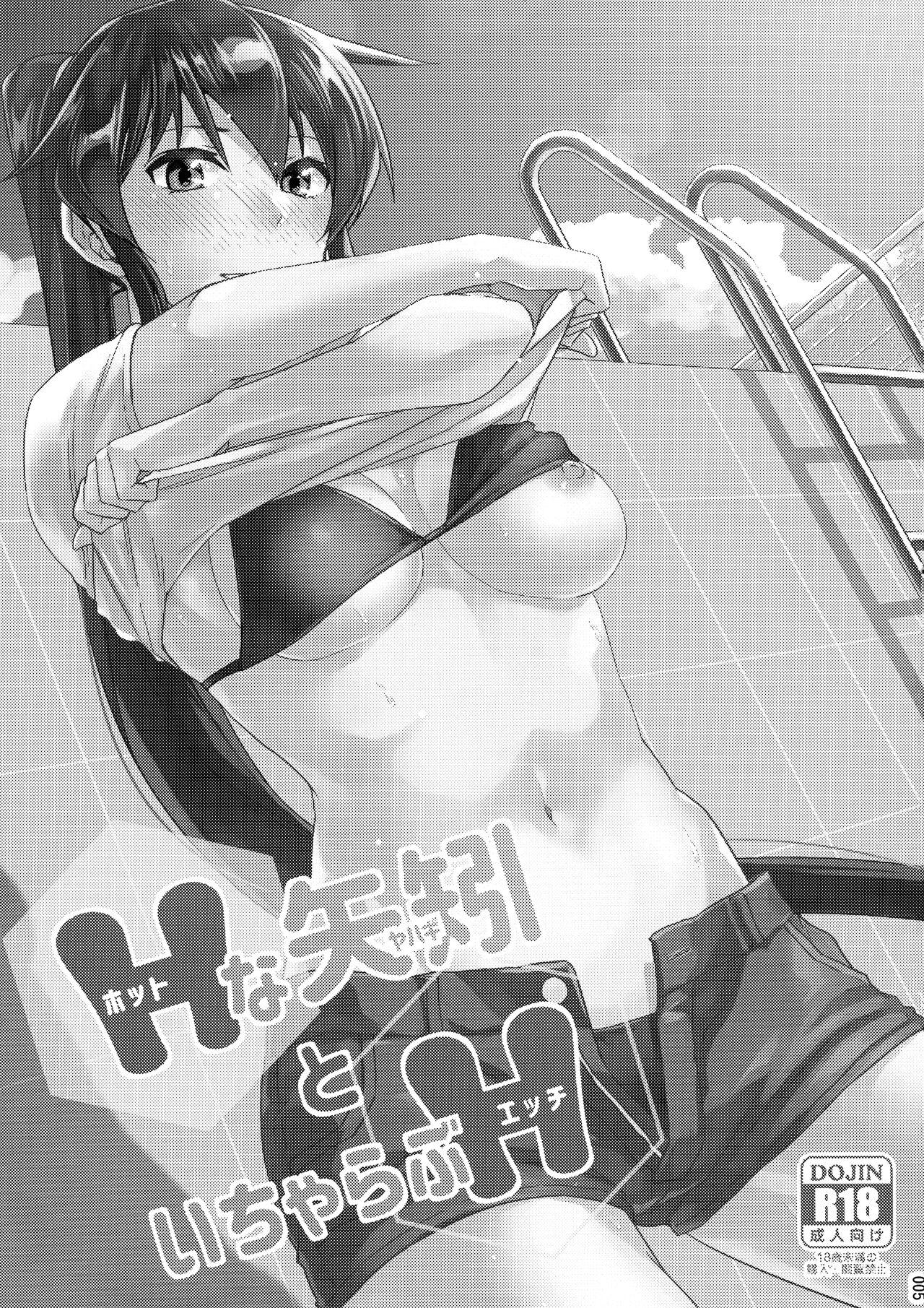 Chinjufu Yasen Shouhou 4