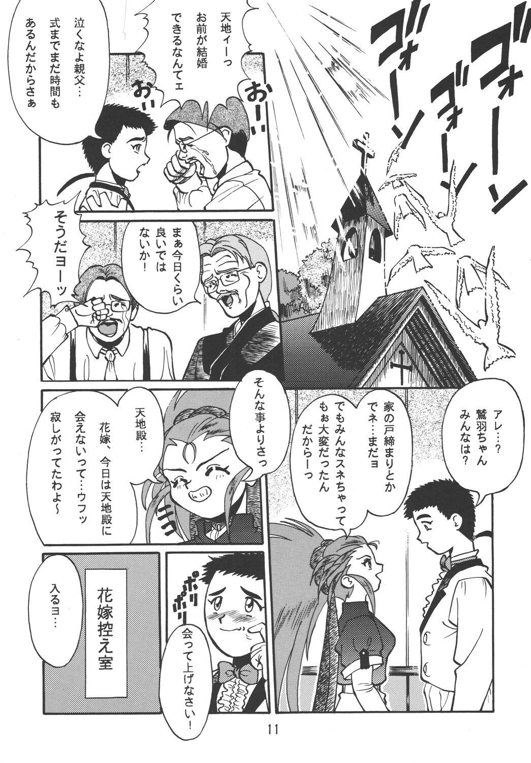 Tenchi Damashii 10