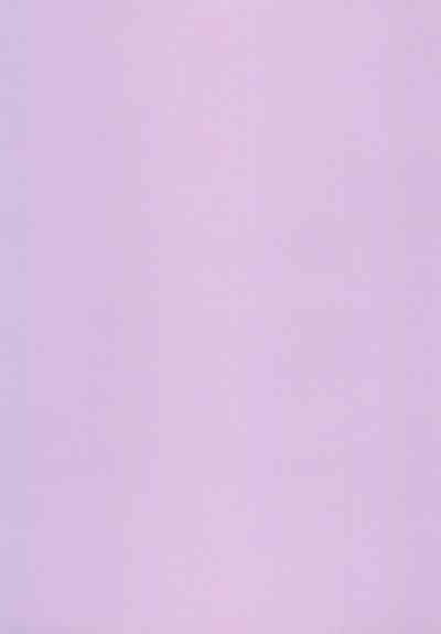 Iza Jinjou ni Shoubu! 3