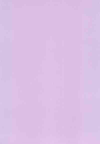 Iza Jinjou ni Shoubu! 4