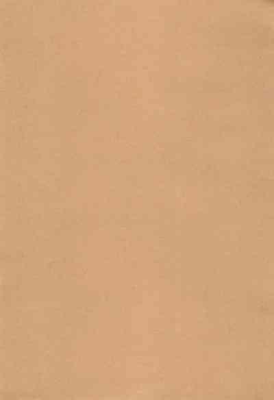 Shujinkou no Koto ga Wayawayawaya Daisuki na Shinyuu de Rival de Koibito to Icha Icha Love Love Ecchi 3