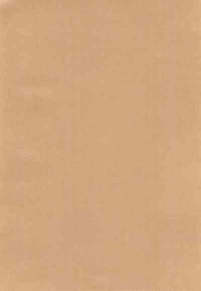 Shujinkou no Koto ga Wayawayawaya Daisuki na Shinyuu de Rival de Koibito to Icha Icha Love Love Ecchi 4