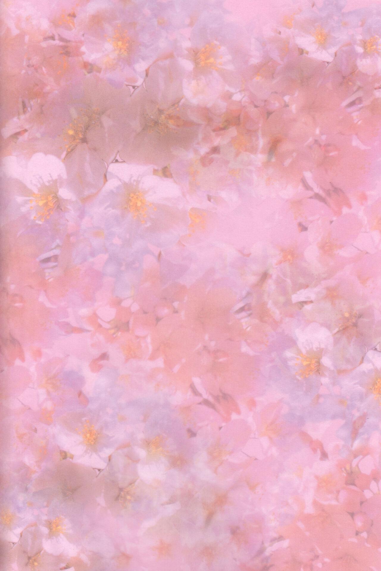 Niso Fuji o Kamu 1