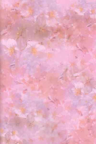 Niso Fuji o Kamu 2