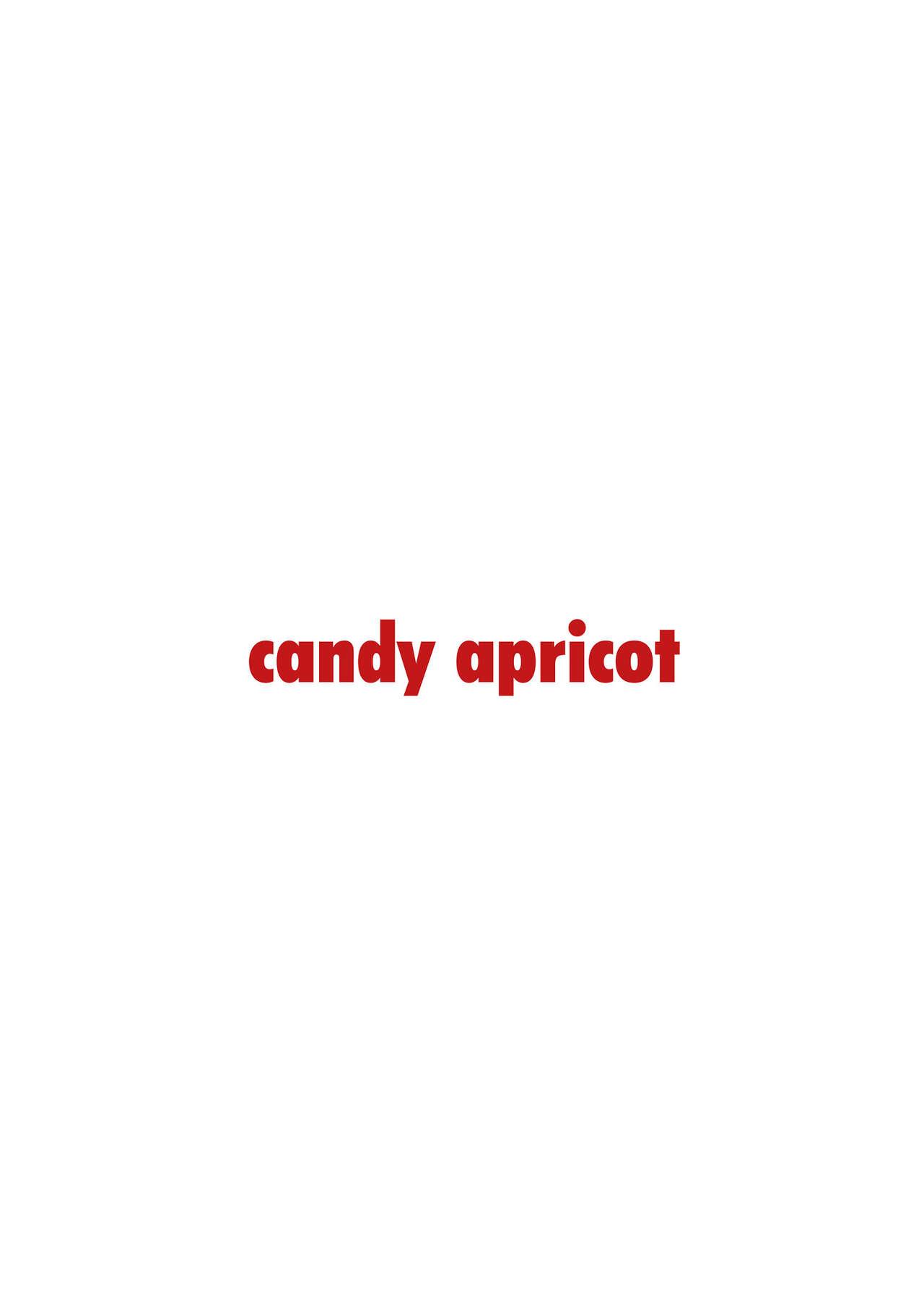 [candy apricot (Mashita)] Ga-kou-den [Digital] 37