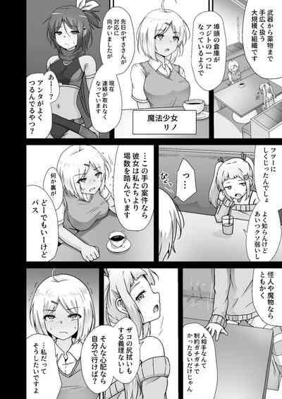 Houkairensa 6