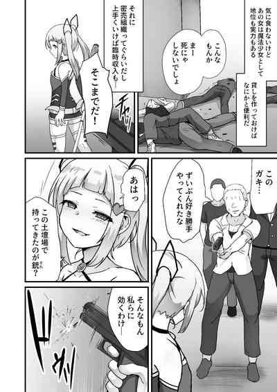 Houkairensa 8