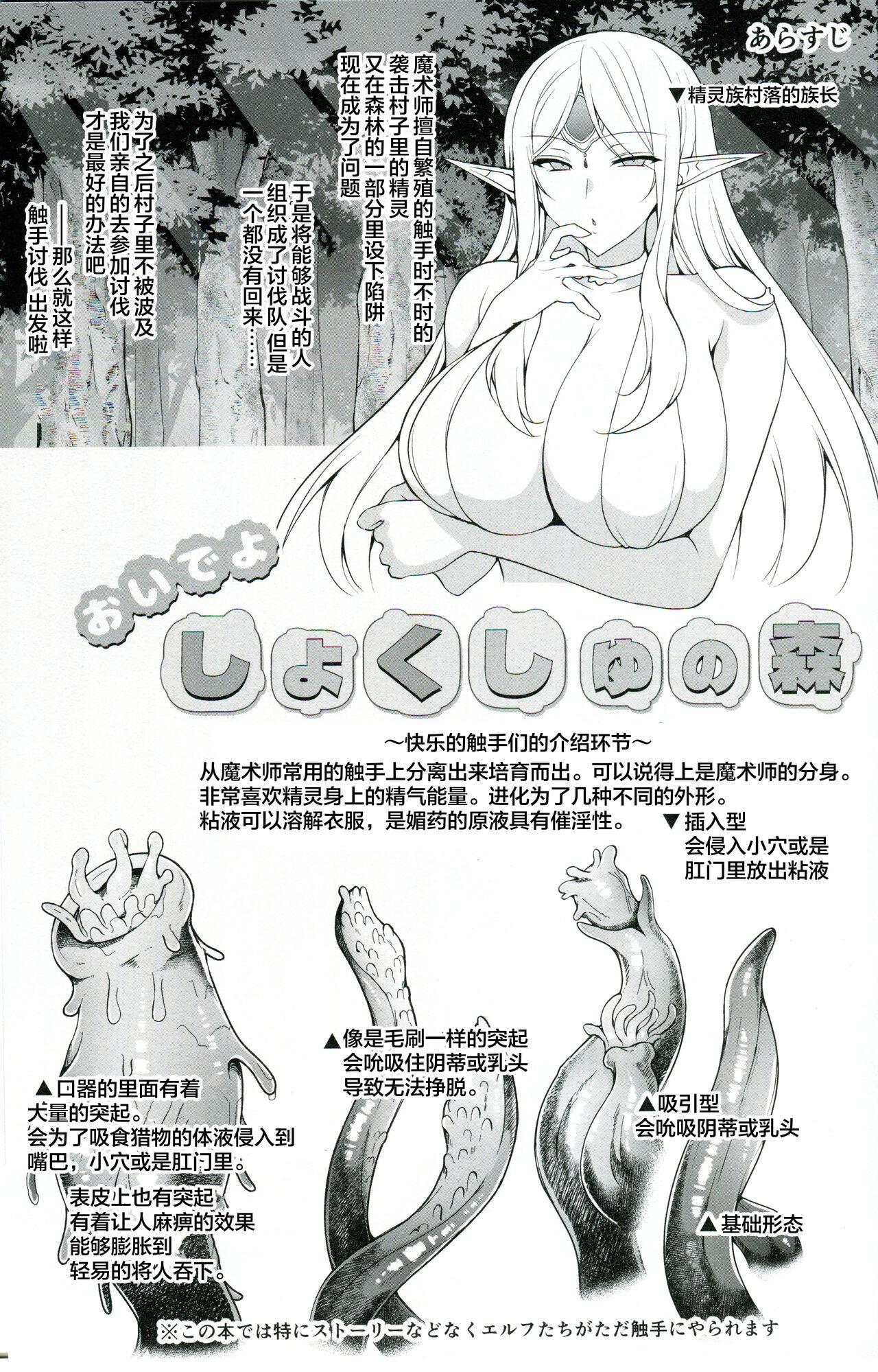 Ninokoya C104 Omake Hon - Page 3