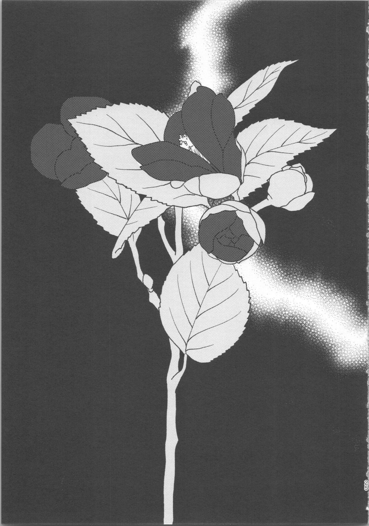 玉響の花筐【透明声彩汉化组】 - Page 24