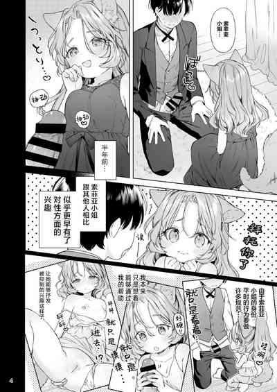Isekai Otona no Omochaya-san 2 | 异世界成人玩具店的店主先生2 5