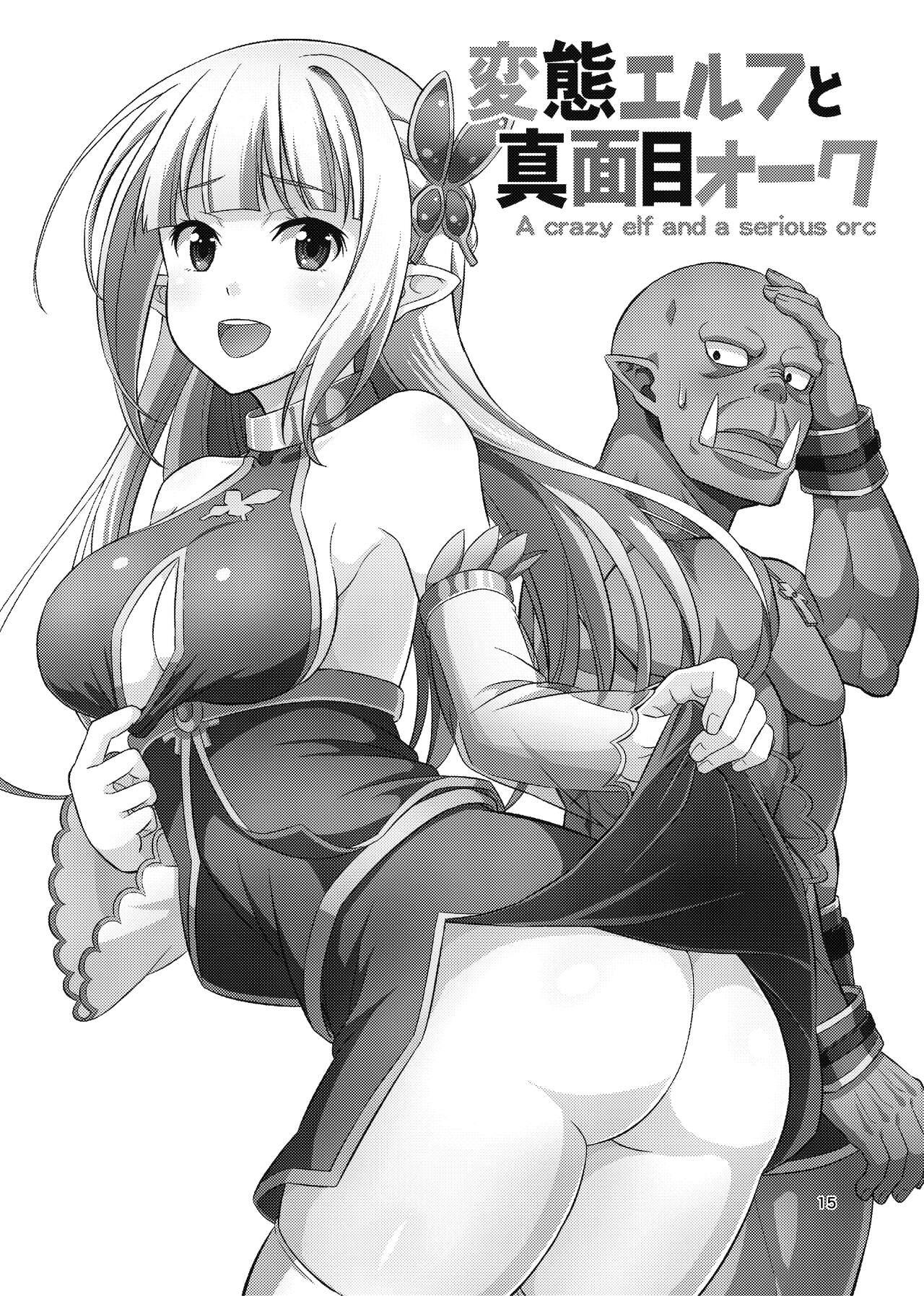 Hentai Elf to Majime Orc Doujin Ban Soushuuhen - A crazy elf and a serious orc 14