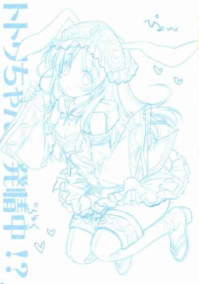 Totori-chan ga Hatsujou Chuu!? 3