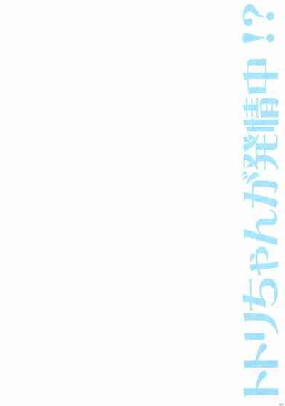 Totori-chan ga Hatsujou Chuu!? 4