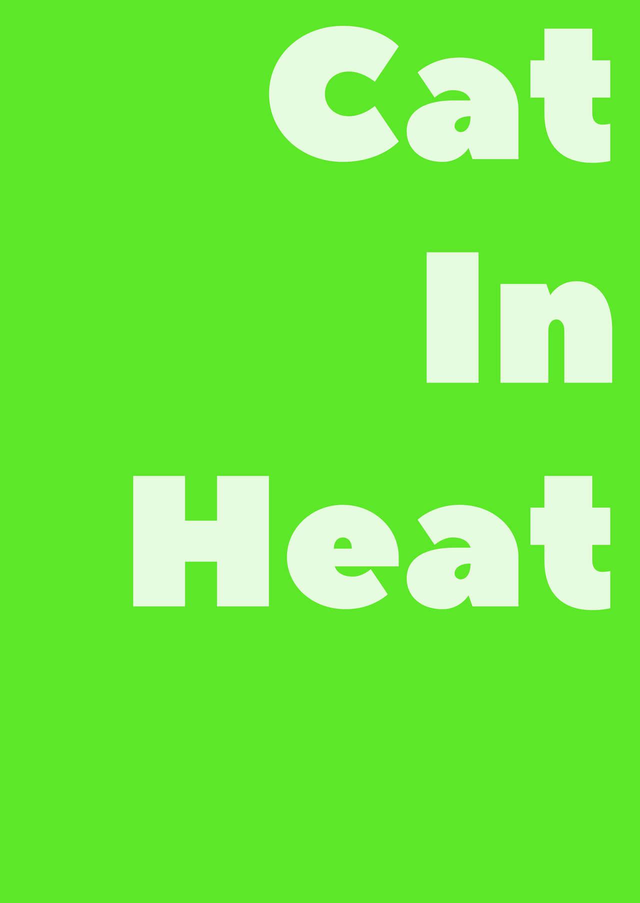 Cat In Heat 29