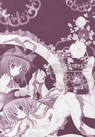 Koneko no Mori ni wa Kaerenai 2