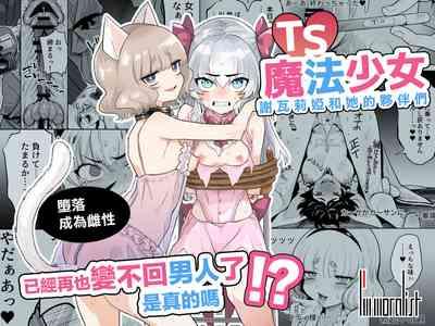 TS Mahou Shoujo Chevalier-chan to Sono Nakama wa Mesu ni Otosarete Mou Otoko ni Modorenai tte Maji desu ka!? | TS魔法少女谢瓦莉亚和她的伙伴们堕落成为雌性已经再也变不回男人了是真的吗！？ 2