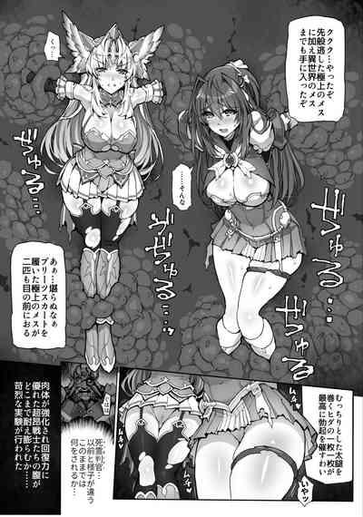 Choukou InbouAE+R 4