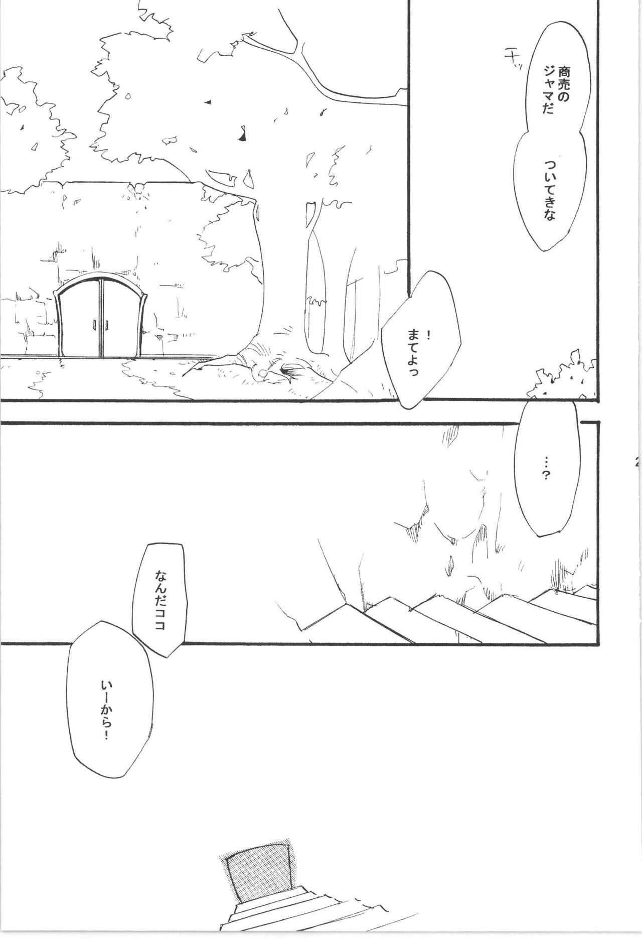 Wandering In The World 3 202