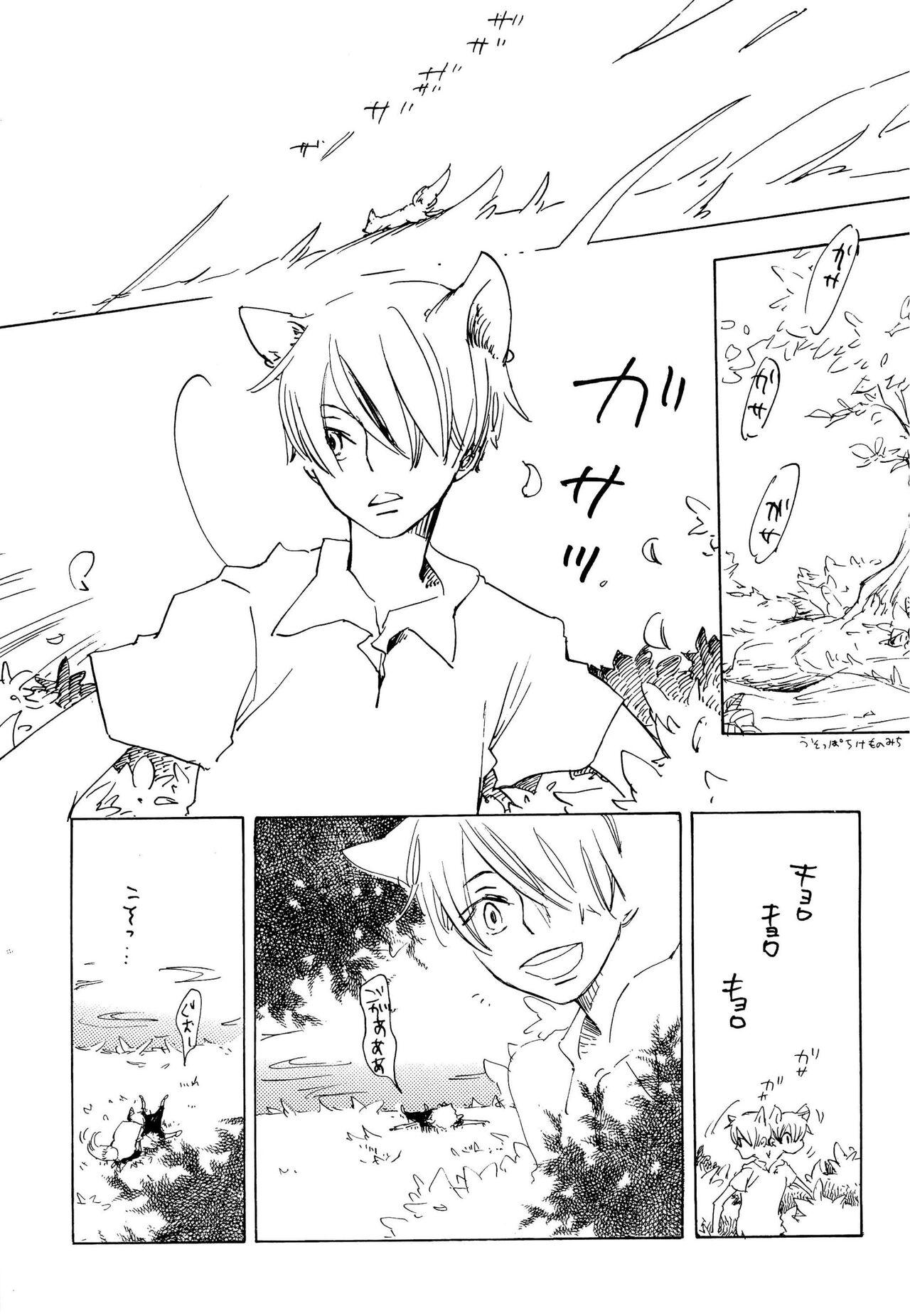 おとぎの森のとらきつね - Page 16